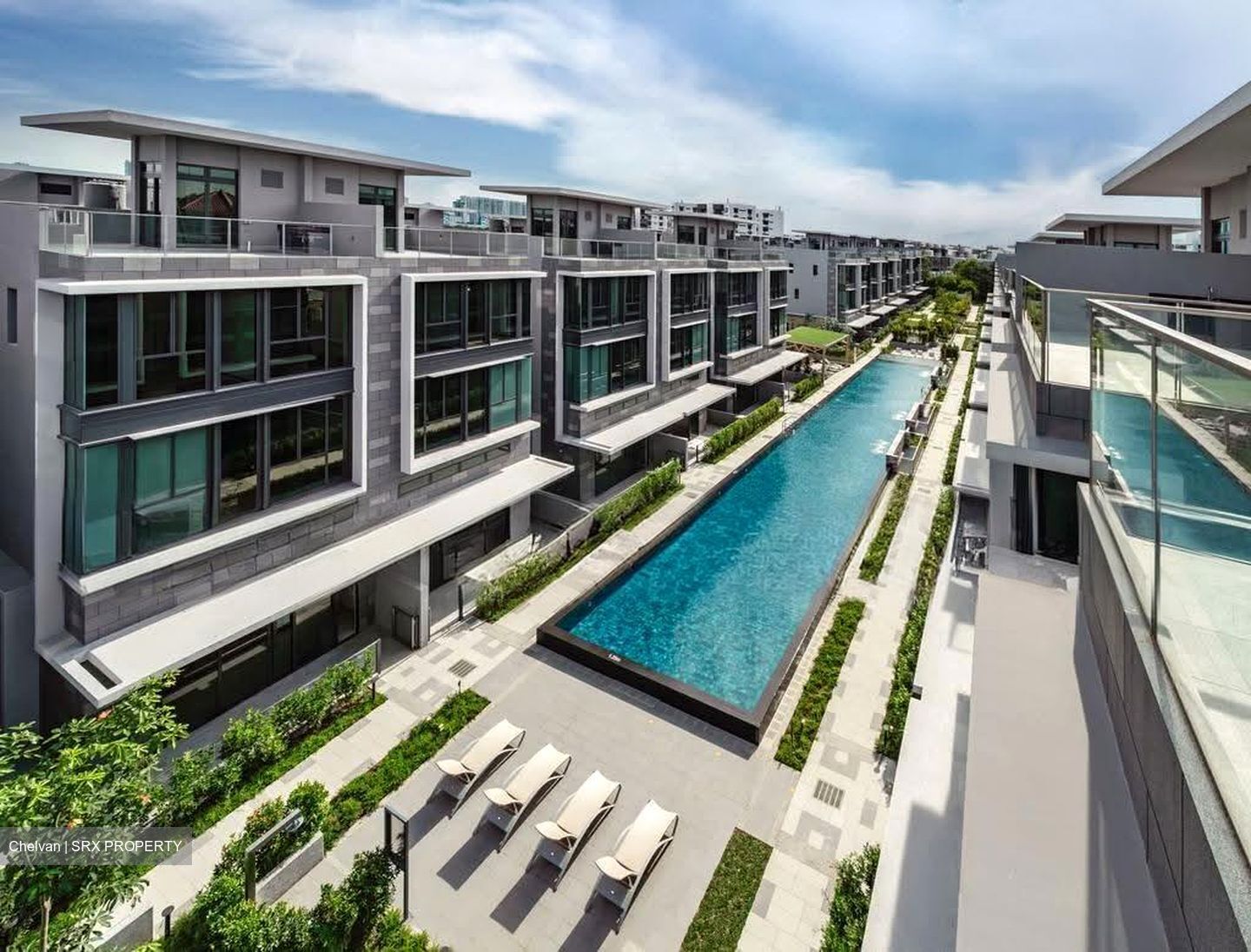 Belgravia Ace (D28), Terrace #613285401